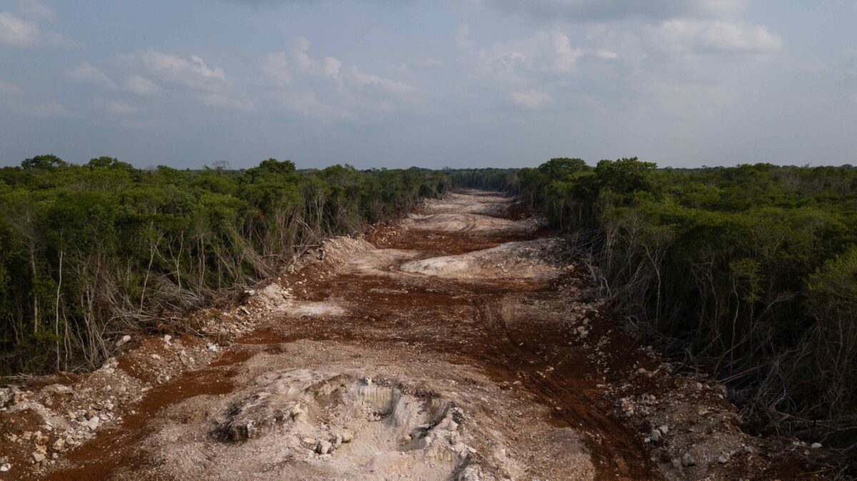 “El Tren Maya avanza sin tomar en consideración la violación de los derechos de la naturaleza” | ENTREVISTA
