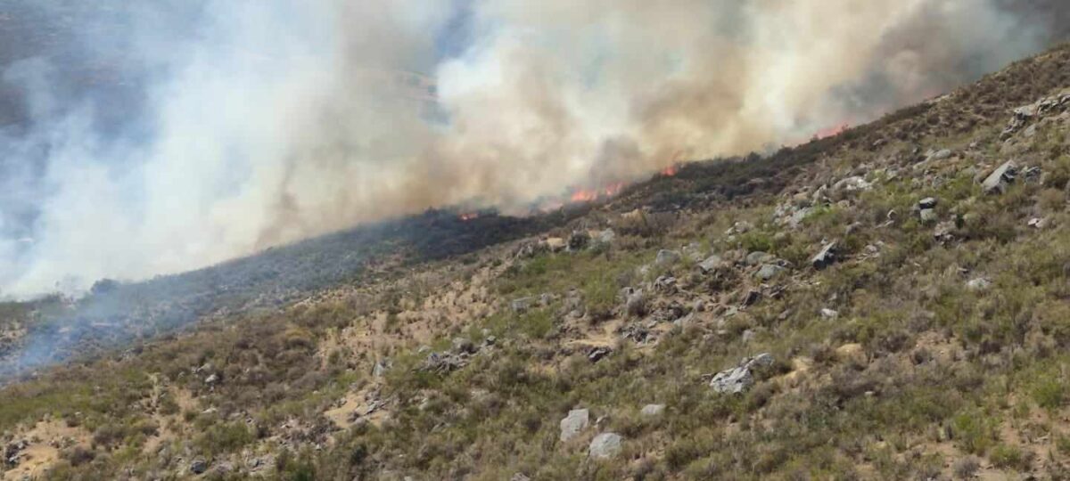 Más de 500 incendios forestales se han registrado en Perú durante 2023