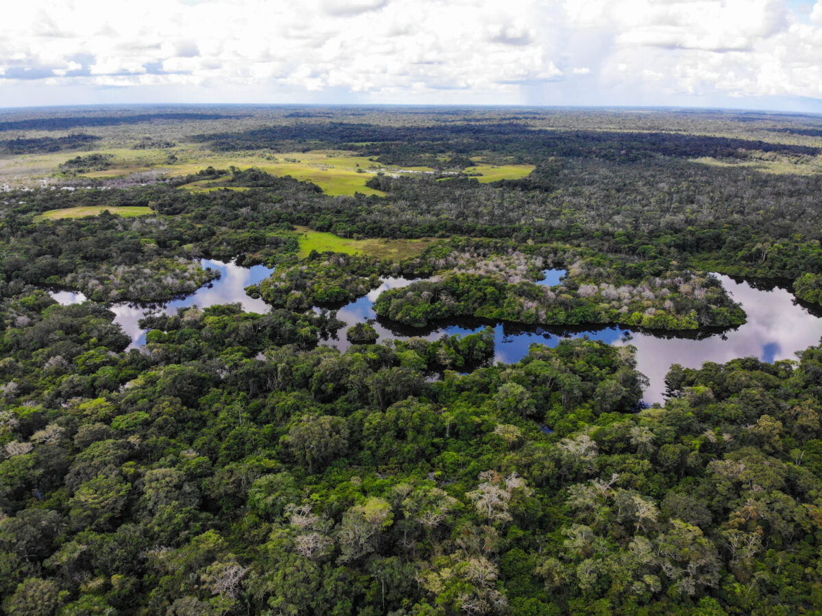 La Paya: una selva gigante en Putumayo azotada por el narco