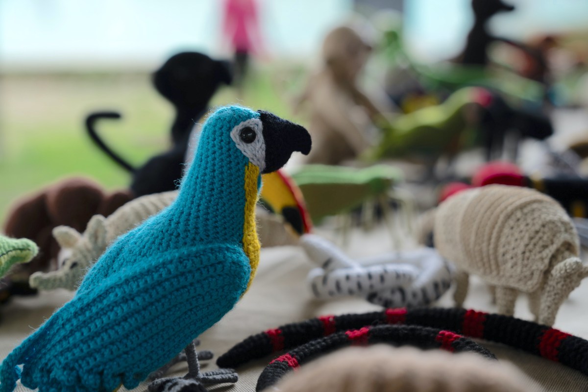 Tejer para conservar: mujeres kichwas usan artesanías para promover la protección de la fauna amazónica