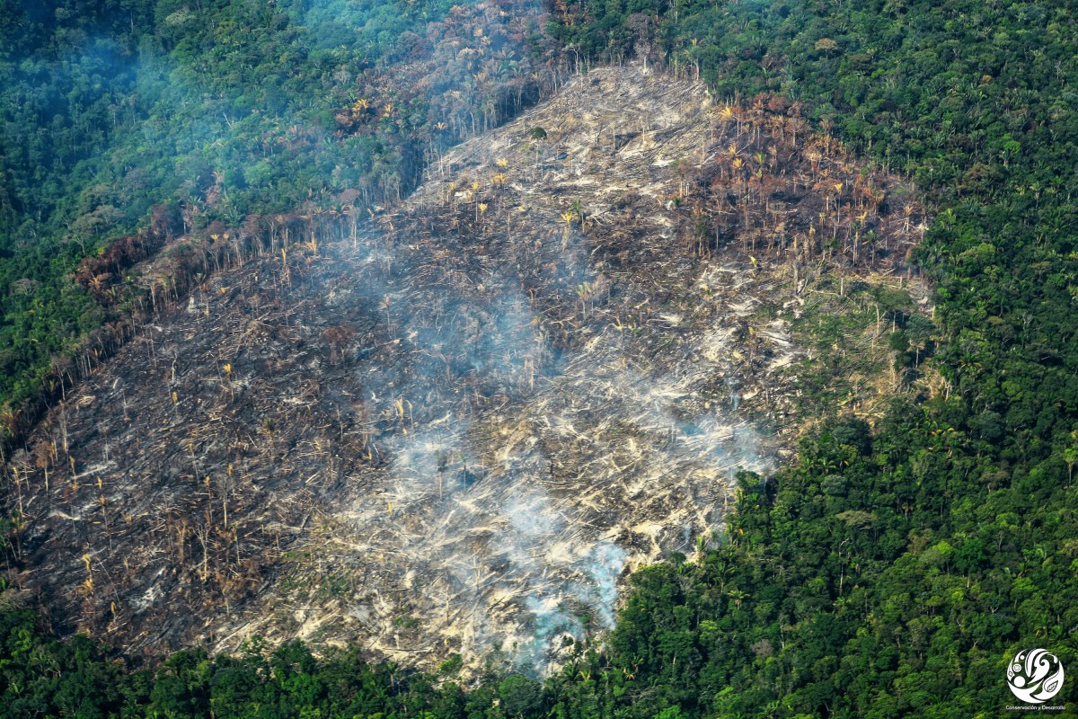 Colombia: las deudas de Duque y los retos de Petro en materia ambiental