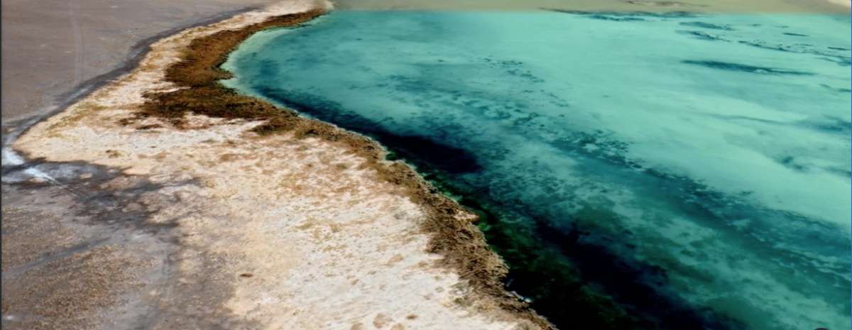 Salar de Maricunga en la mira de la industria del litio: “Es como saber que te van a matar y que en algún momento llegará la hora y el día”
