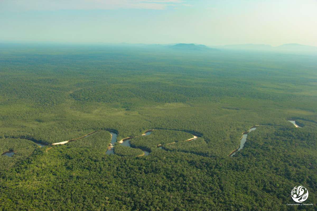 Nuevo recurso pedagógico para la protección de los bosques