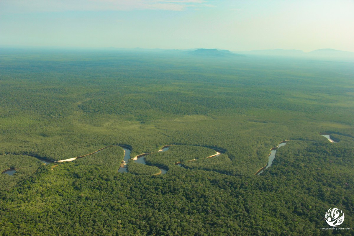 Nuevo recurso pedagógico para la protección de los bosques