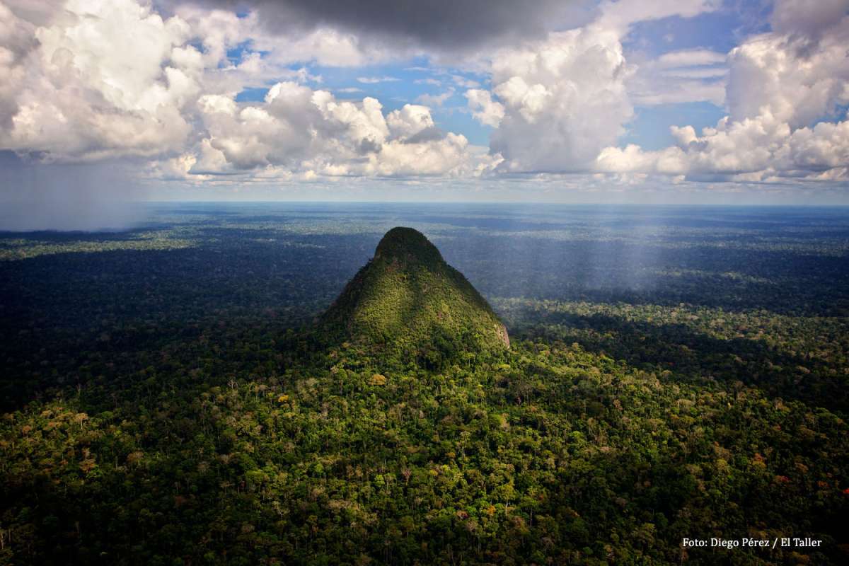Perú: siete años de prisión para empresario que construyó carretera que atraviesa parque nacional en la Amazonía