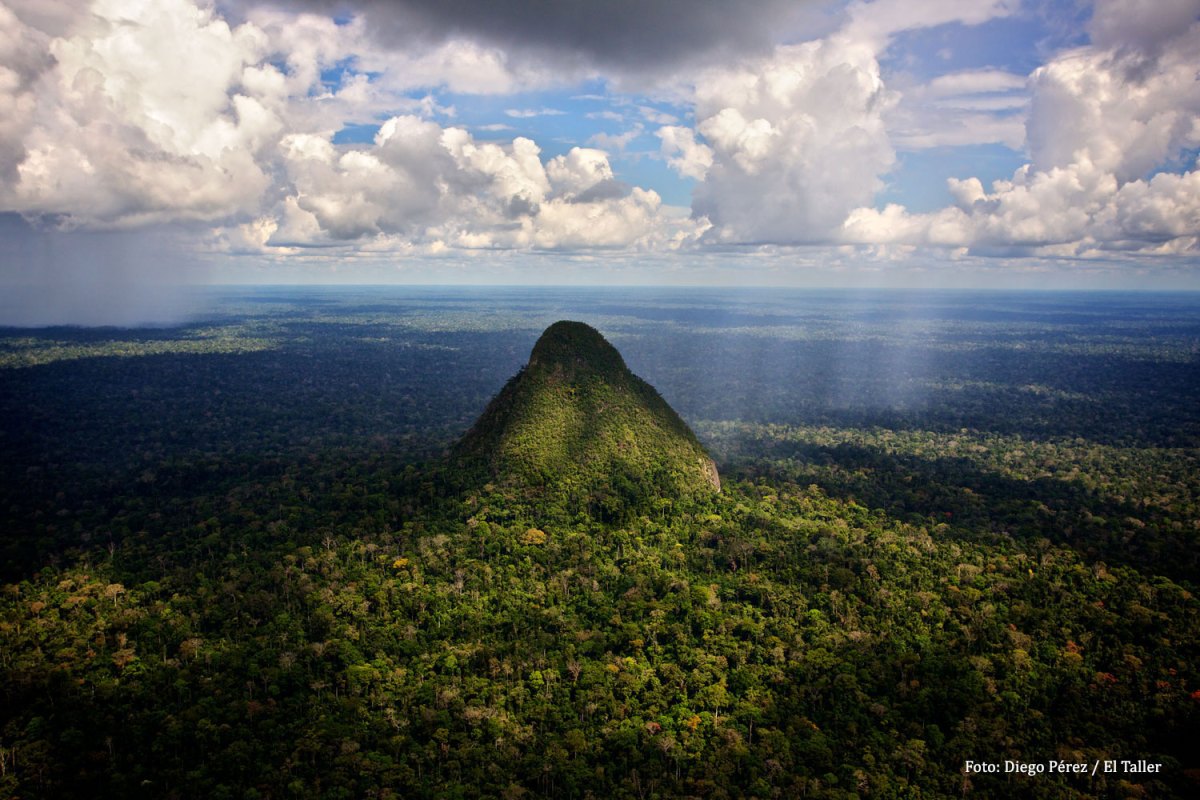 Perú: siete años de prisión para empresario que construyó carretera que atraviesa parque nacional en la Amazonía