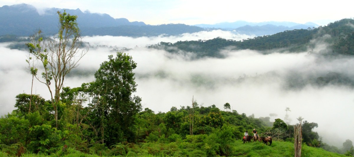 Honduras: deforestación, ganadería, cultivos ilícitos y minería ilegal golpean a reservas naturales de La Mosquitia