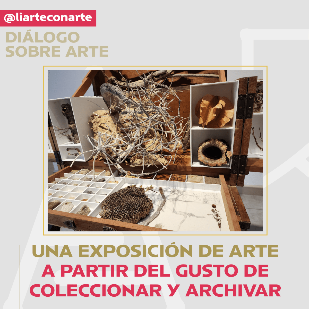 ¿Cómo es que el gusto por coleccionar, catalogar y archivar se vuelve arte?