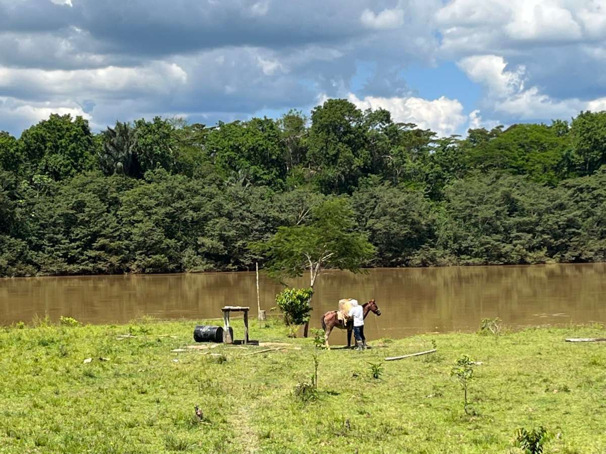 Defensores ambientales: las luchas por el buen vivir deben persistir