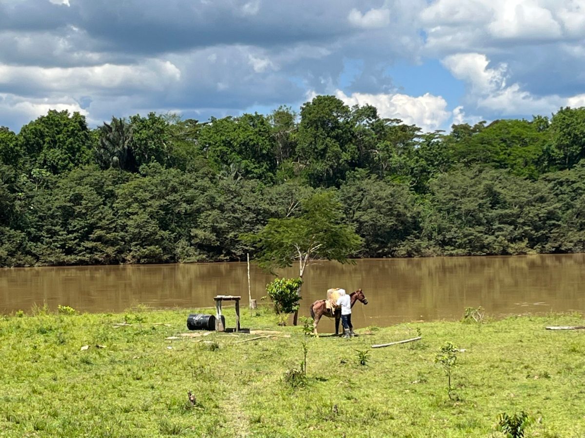 Defensores ambientales: las luchas por el buen vivir deben persistir