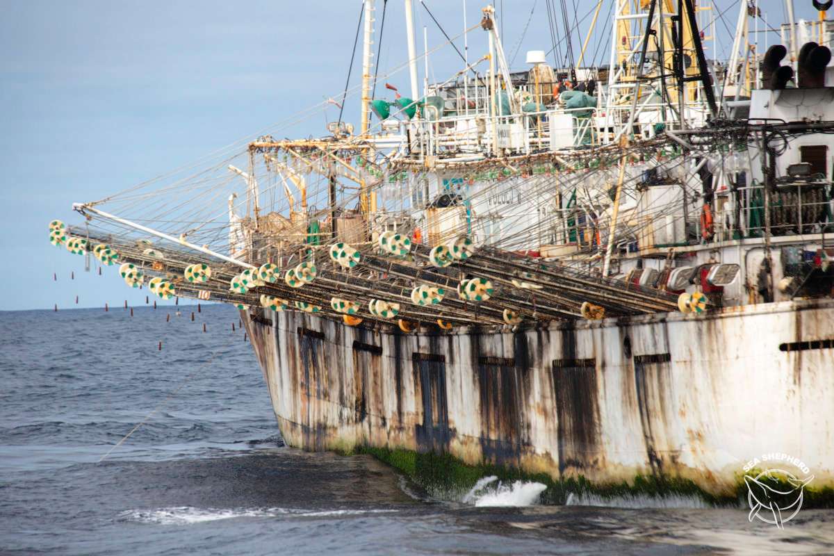 Más de 70 barcos chinos han ingresado a Perú sin el dispositivo satelital que exige la norma