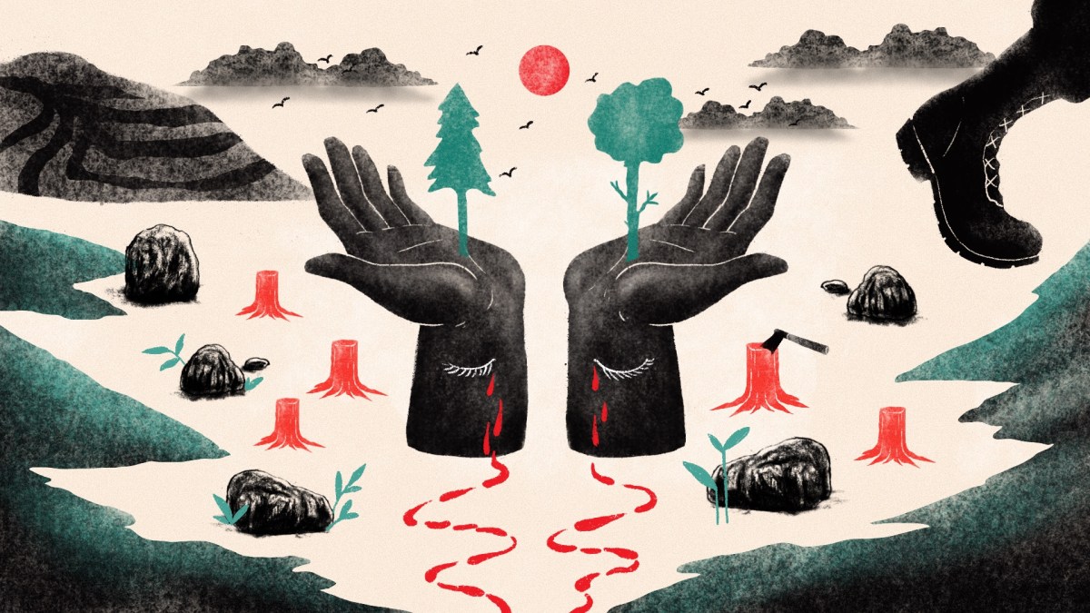 A estas personas las desaparecieron por defender el ambiente y el territorio en México