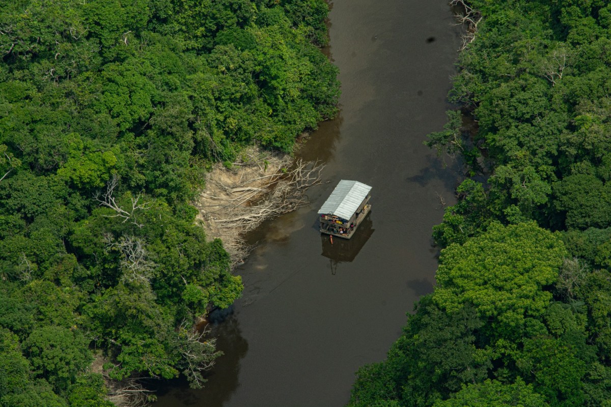 Violencia en la Amazonía de Colombia: guardaparques desplazados y 14 áreas protegidas disputadas por grupos armados ilegales