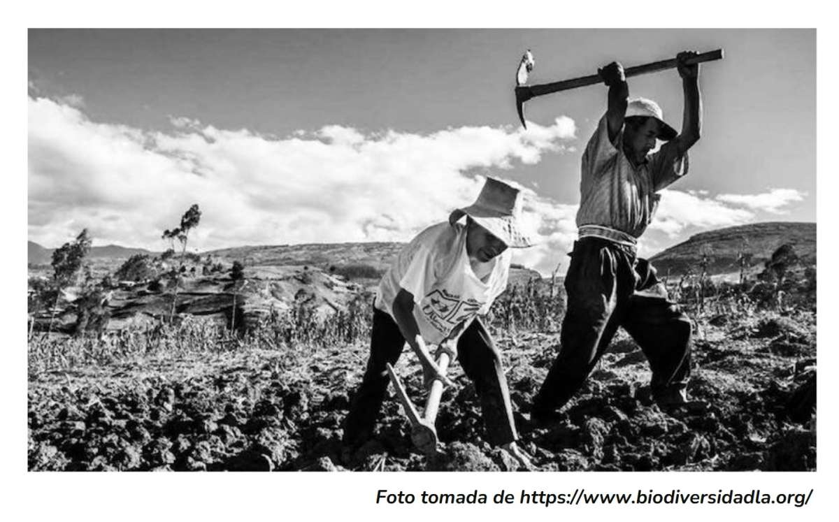 Desafíos del gobierno con el acto legislativo que reconoce a los campesinos como sujetos de derechos y de especial protección