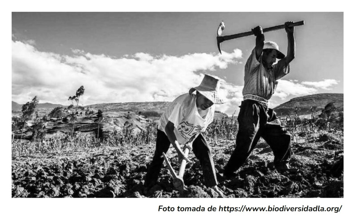 Desafíos del gobierno con el acto legislativo que reconoce a los campesinos como sujetos de derechos y de especial protección