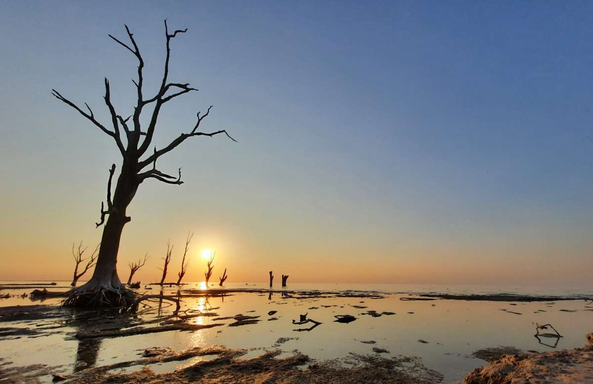 Desafíos ambientales de Argentina en 2024: el gigantesco reto de instalar una agenda sostenible frente a un gobierno que niega el cambio climático