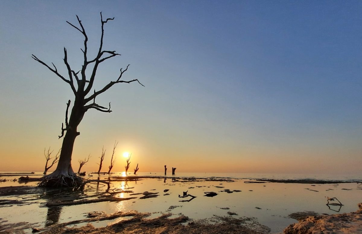 Desafíos ambientales de Argentina en 2024: el gigantesco reto de instalar una agenda sostenible frente a un gobierno que niega el cambio climático