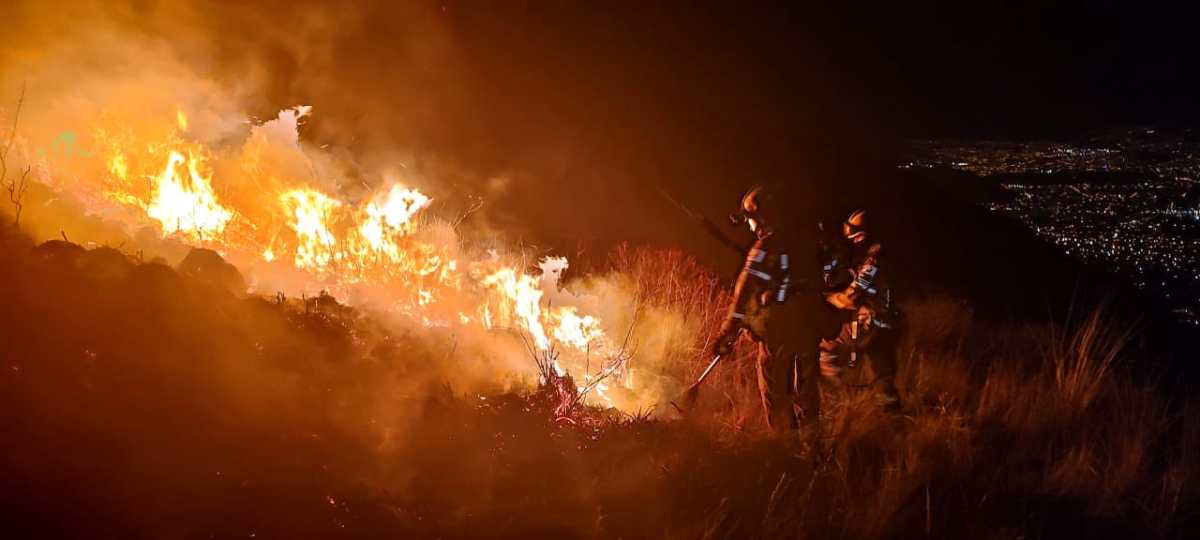 Balance ambiental de Bolivia en 2023: el país pierde patrimonio natural por avance de la deforestación, incendios y minería