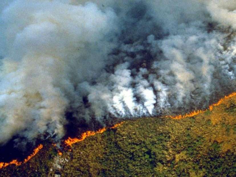 Anteojera climática, gran falla para enfrentar la crisis