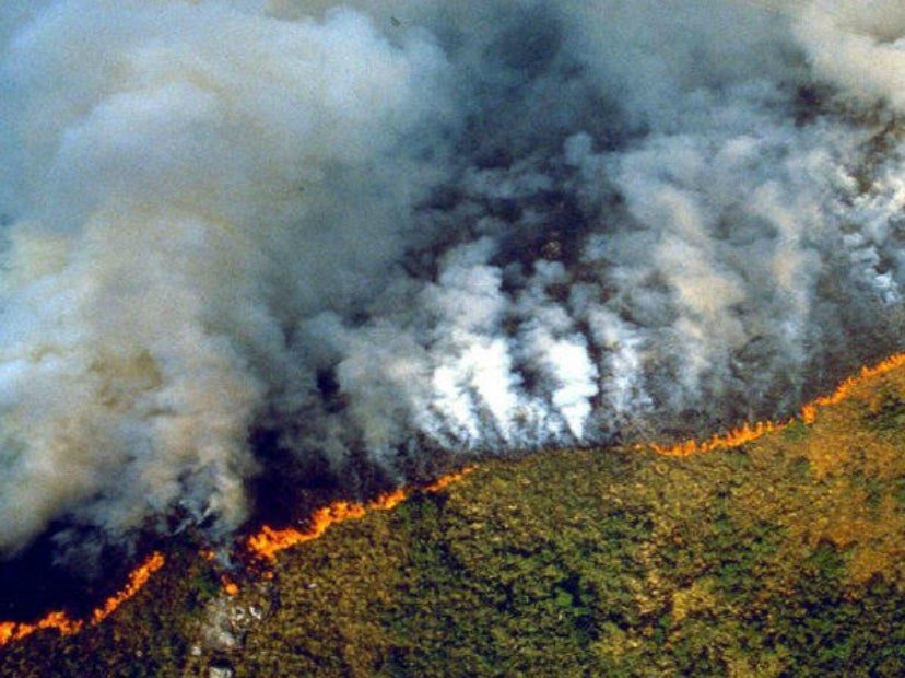 Anteojera climática, gran falla para enfrentar la crisis