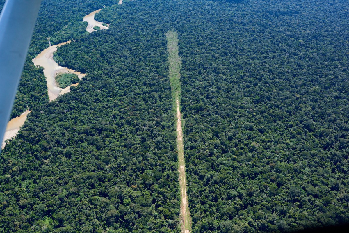 Fotografías confirman presencia de pistas clandestinas y cultivos ilícitos en la Reserva Indígena Kakataibo en Perú