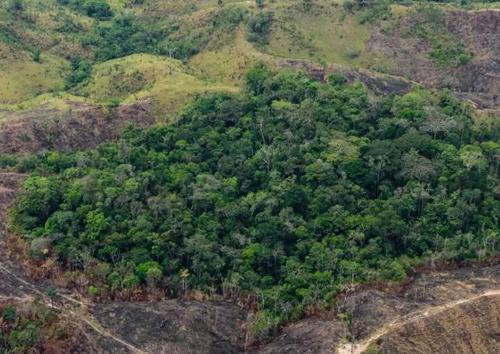 AMAZONIA: IMPOSICION DE TERRITORIOS GLOBALIZADOS Y COYUNTURA POLITICA