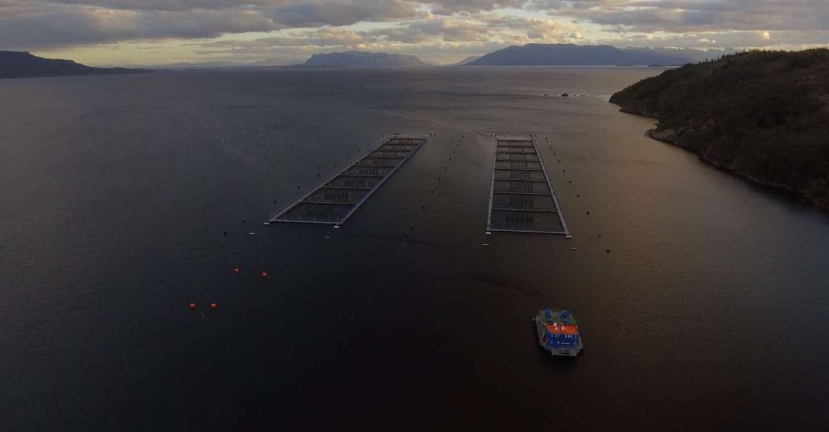 Chile: comunidades y organizaciones alertan sobre proyecto de ley que modifica los Espacios Costero Marinos de Pueblos Originarios