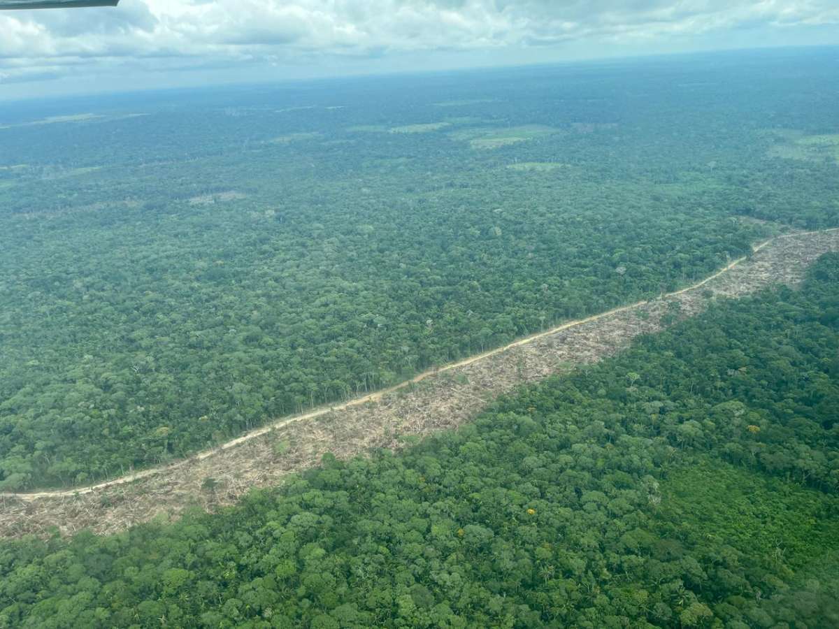 Colombia: vías ilegales dejan 900 hectáreas de deforestación en territorios indígenas y un parque nacional