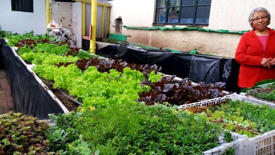 La agricultura urbana como respuesta al crecimiento desmedido de las ciudades, caso localidad de Kennedy, Bogotá