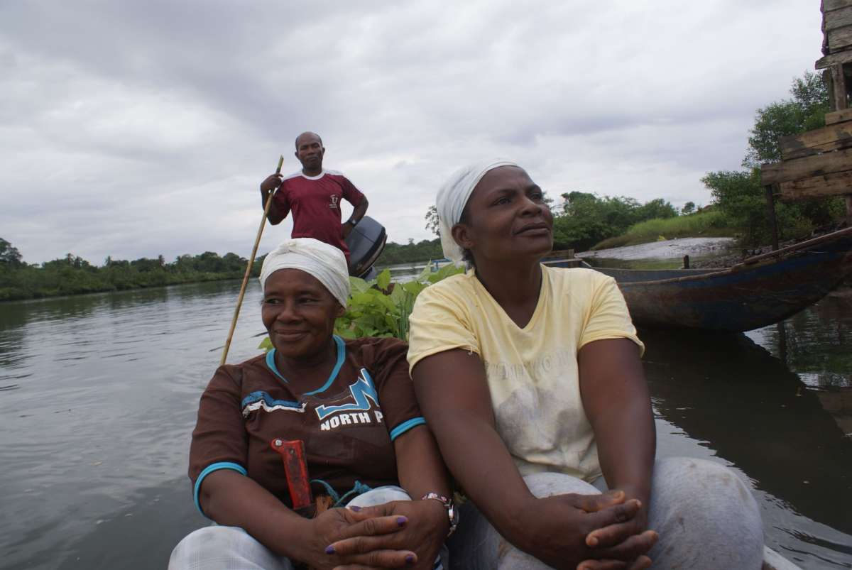 Derechos ambientales, gobernanza territorial y la biodiversidad