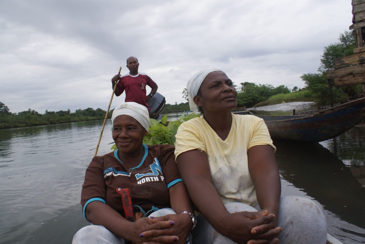 Derechos ambientales, gobernanza territorial y la biodiversidad