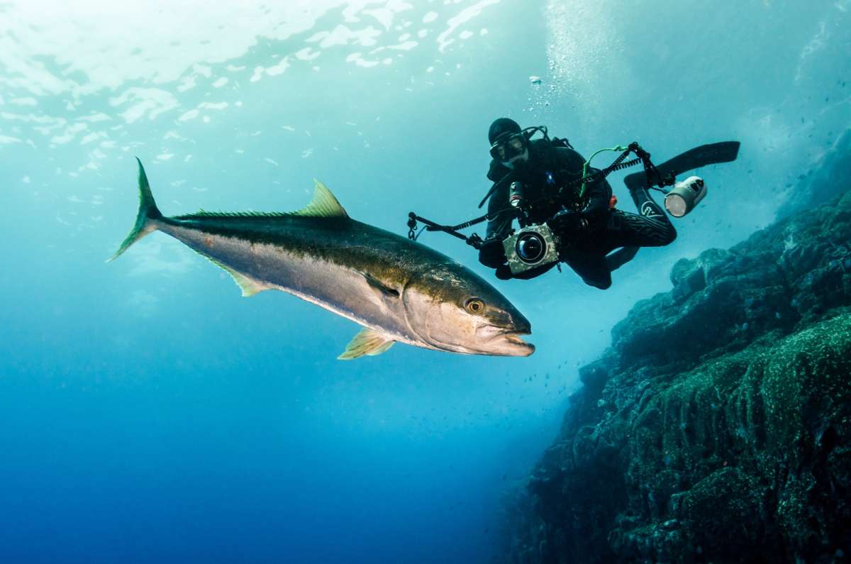 Descubren que fondo marino produce oxígeno, un hallazgo que desafía a la minería submarina