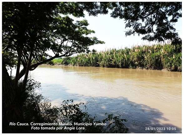 Mujeres rurales y medio ambiente: estudio de caso en el municipio de Yumbo (Valle del Cauca)