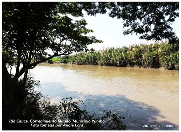 Mujeres rurales y medio ambiente: estudio de caso en el municipio de Yumbo (Valle del Cauca)