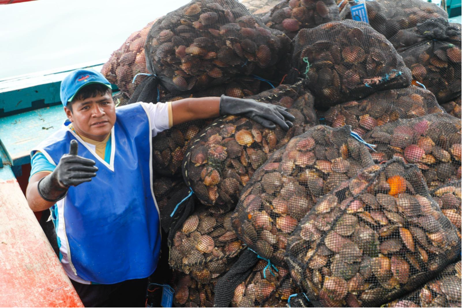 Buzos artesanales de Sechura se recuperan de los impactos del ciclón Yaku