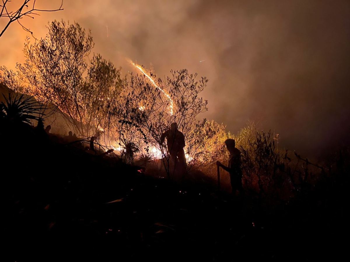 “Es muy probable que sigamos viendo un aumento en la frecuencia y la gravedad de los incendios ”| ENTREVISTA