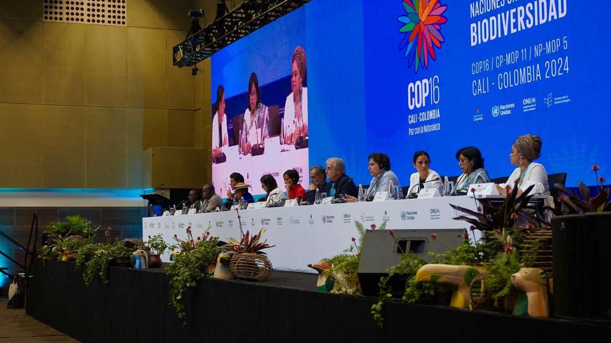 En la recta final de la COP16 hay pocos avances y muchos temas vitales estancados