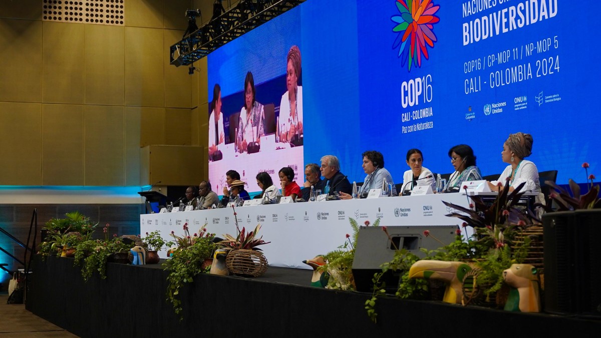 En la recta final de la COP16 hay pocos avances y muchos temas vitales estancados