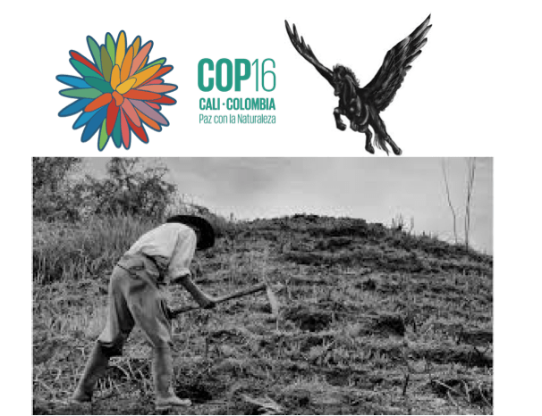 DEMOCRACIA, BIODIVERSIDAD Y PEGASUS