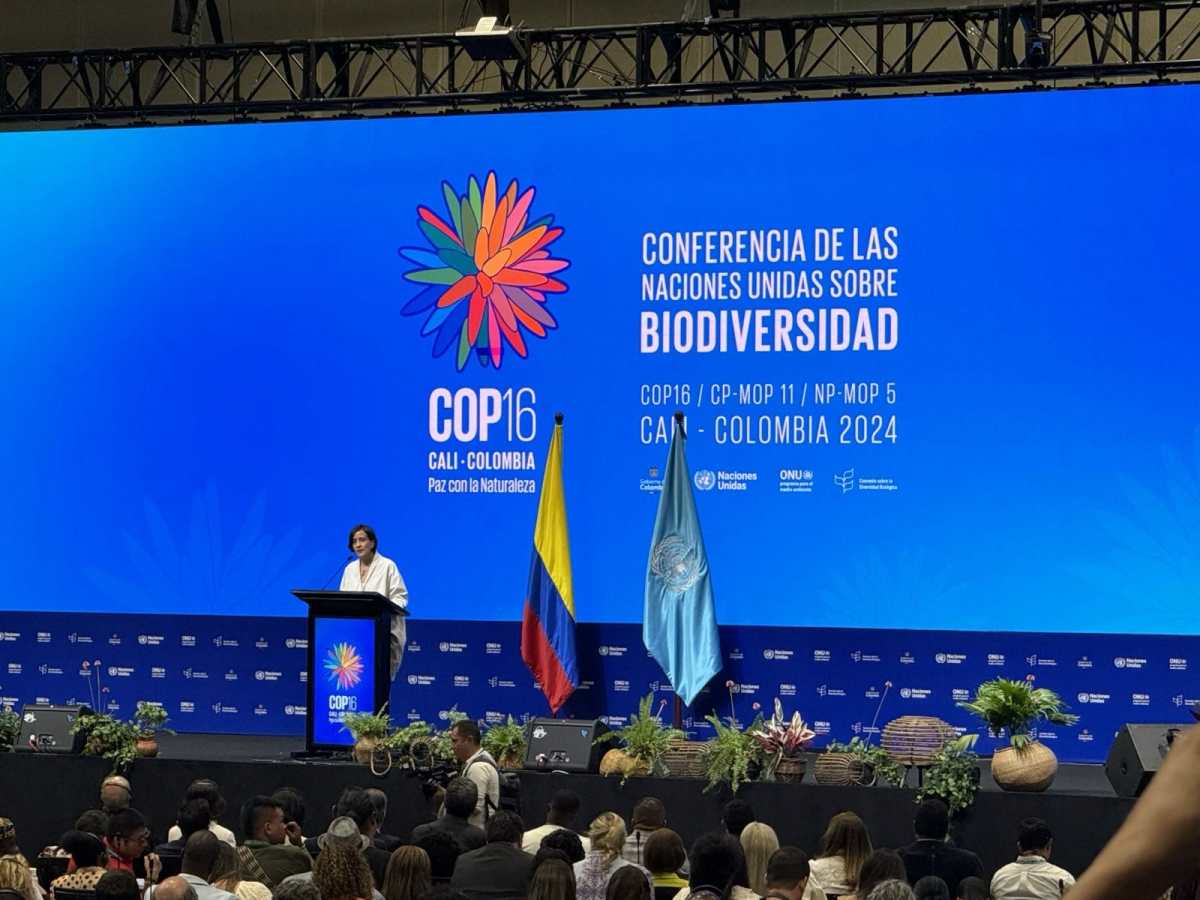 La COP16 de Biodiversidad inicia con cuatro objetivos en la mira