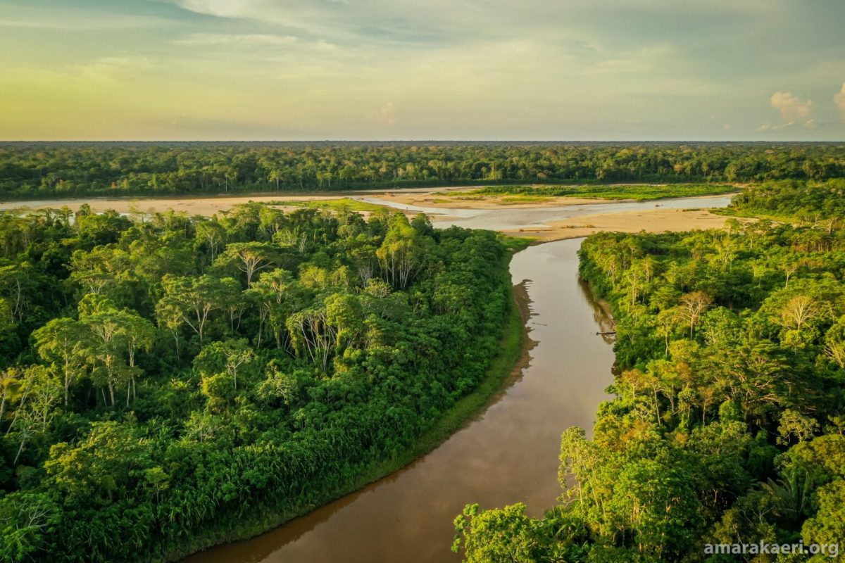COP16: proteger el 30 % del planeta no es sólo un tema de cantidad sino de calidad