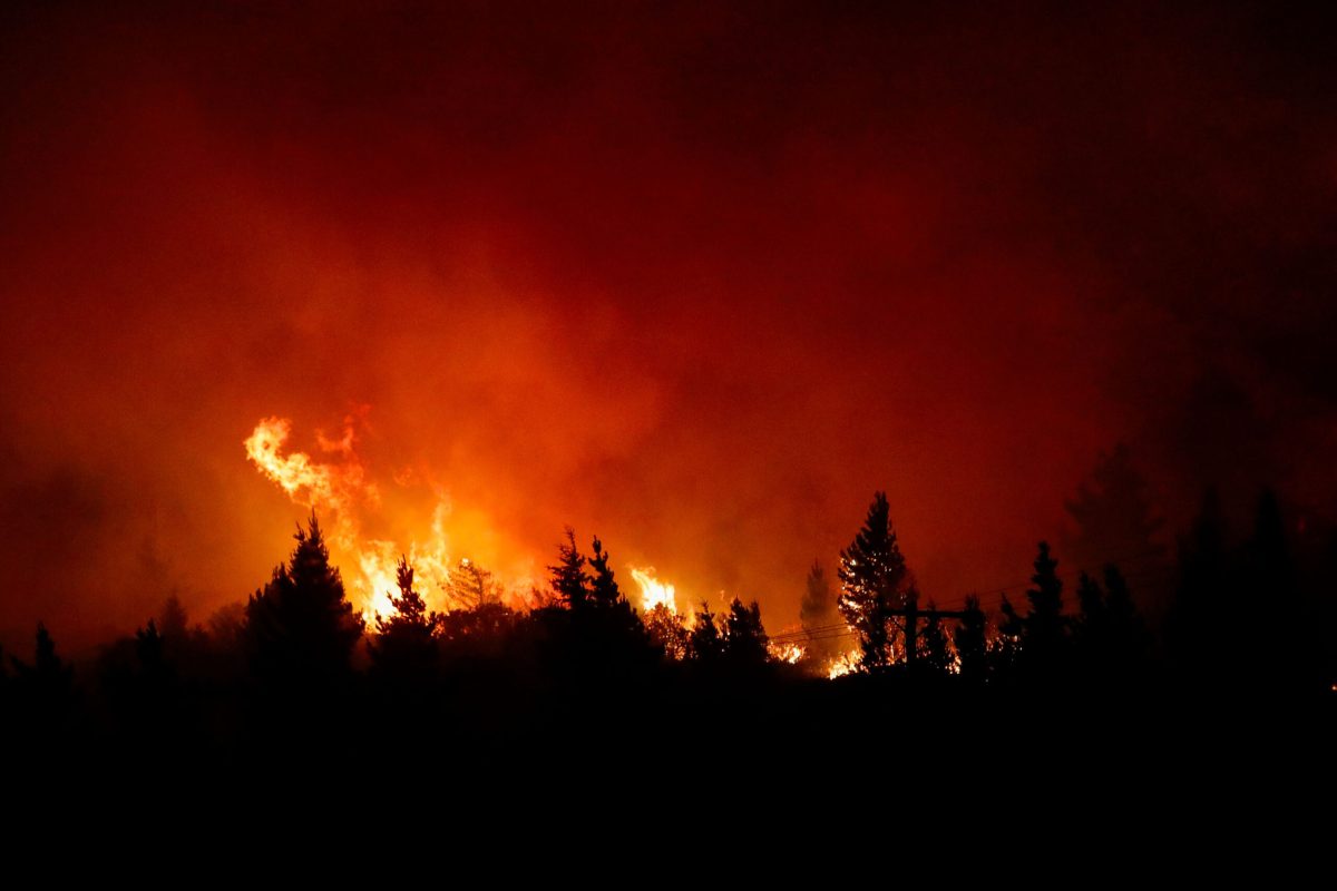 Desde México hasta Argentina: la crisis de incendios llega a Latinoamérica tras emergencia en Los Ángeles
