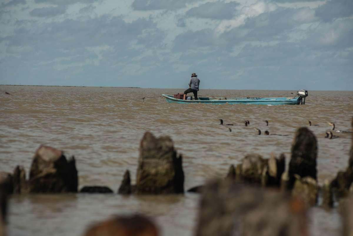 Derrames impunes: imágenes satelitales revelan seis años de derrames de petróleo no reportados por las empresas en el Golfo de México