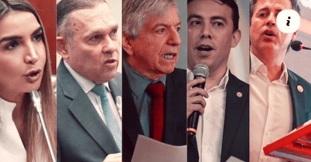 De Rinrín renacuajo a delfín paseador (Cuento)