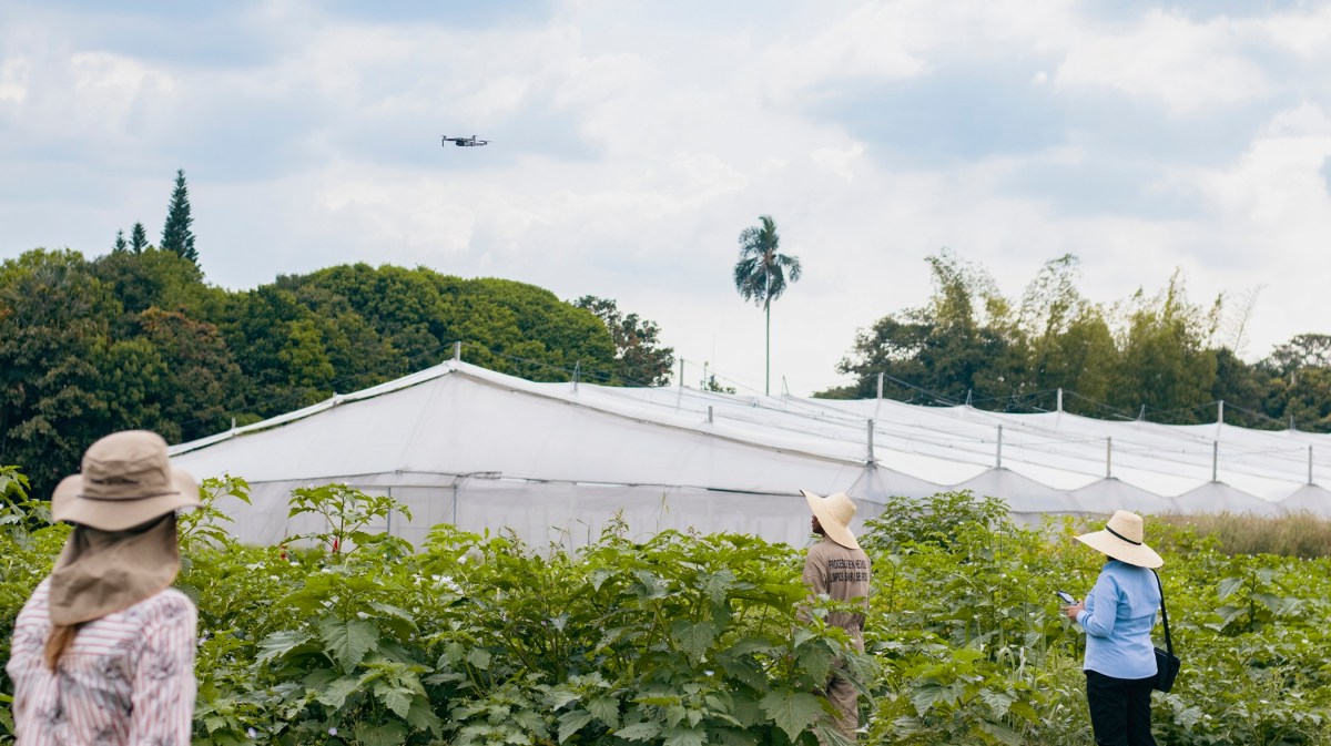 Transformando desafíos globales en oportunidades sostenibles