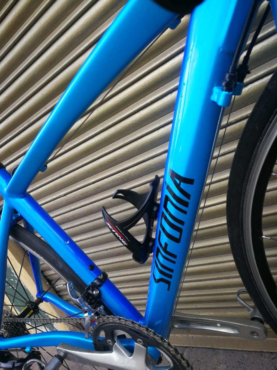 La Chinarello, una bicicleta legendaria