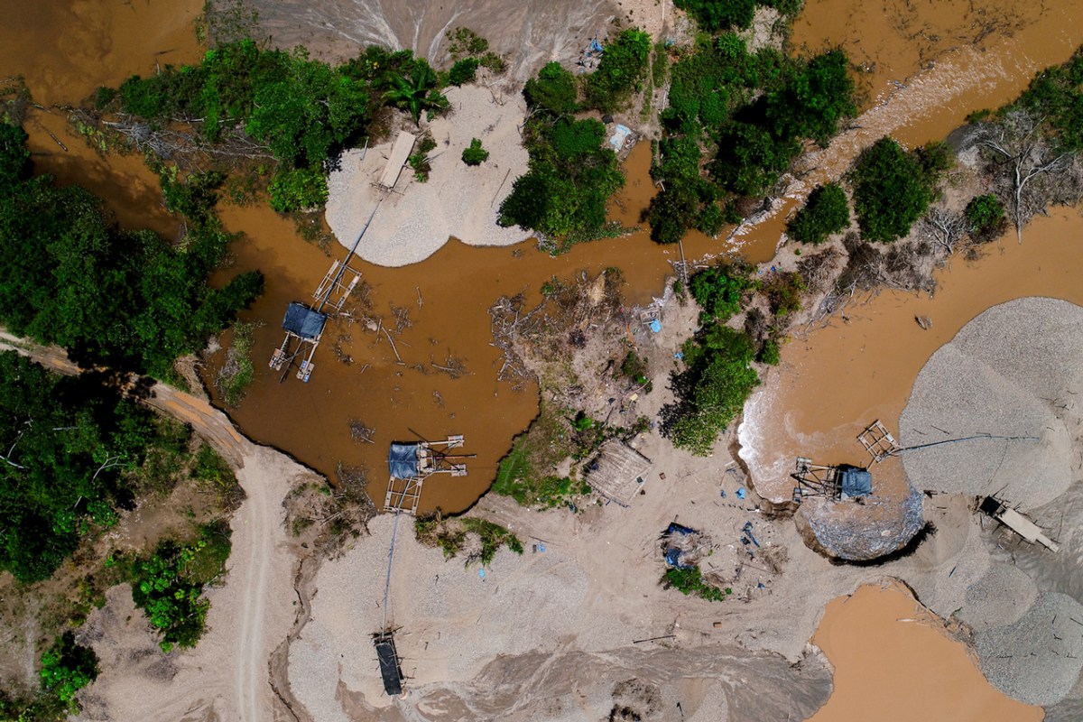 La minería acabó con una superficie de bosques amazónicos equivalente a la extensión de El Salvador en los últimos seis años