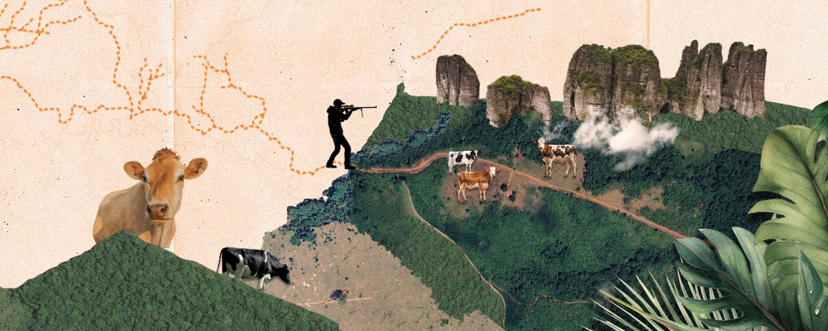 Potreros, peajes ilegales y grupos armados: un desastre provocado por cinco vías ilegales en la Amazonía de Colombia