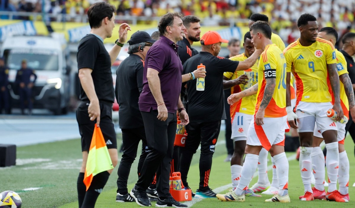 LA SELECCIÓN COLOMBIANA DE FÚTBOL ¿ES REPRESENTATIVA DE LA NACIÓN?