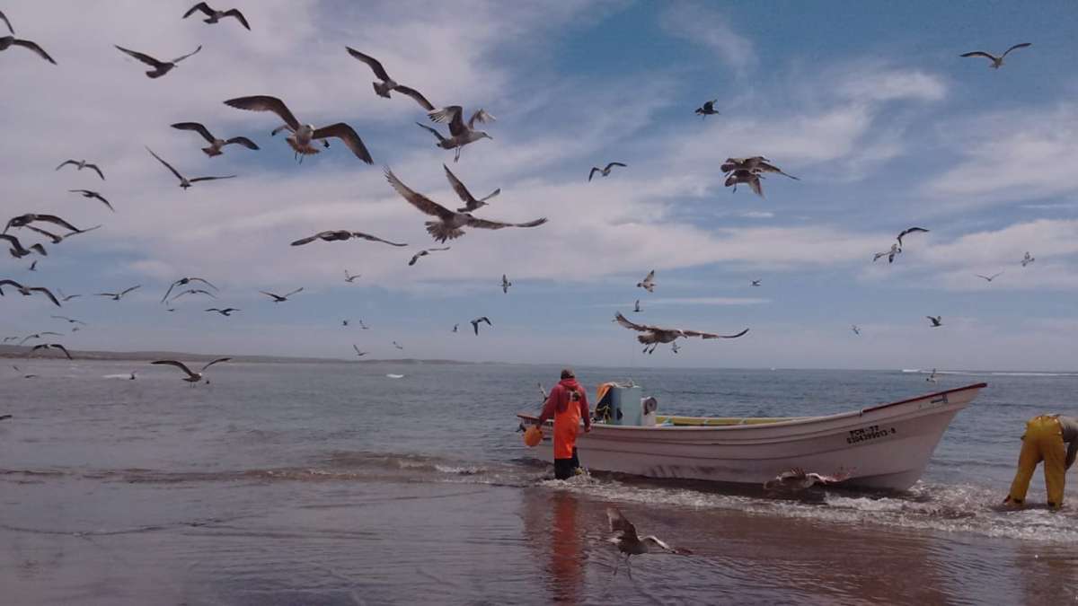 Minería submarina: México se enfrenta a compañía de Estados Unidos que busca extraer fósforo del mar en Baja California Sur